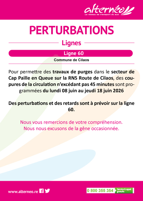 06-08-perturbation-ligne-60-cap-paille-en-queue1.jpg