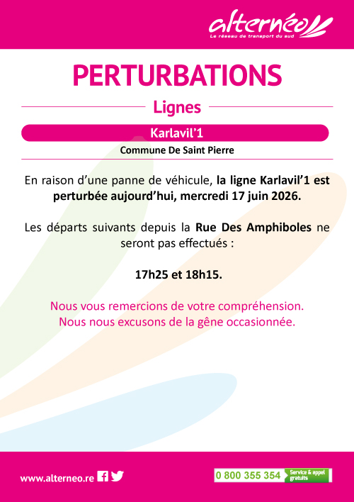 06-17-perturbation-ligne-karlavil-1-departs-non-effectues-pm-1.jpg