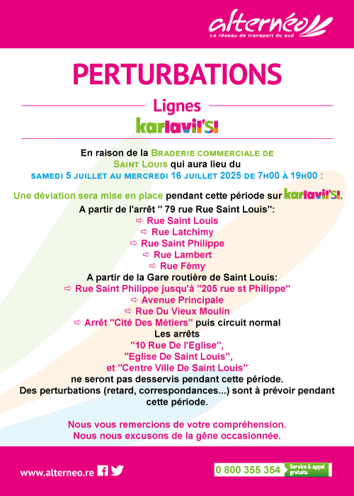 07-04-perturbation-ligne-sl-braderie-commerciale4.jpg