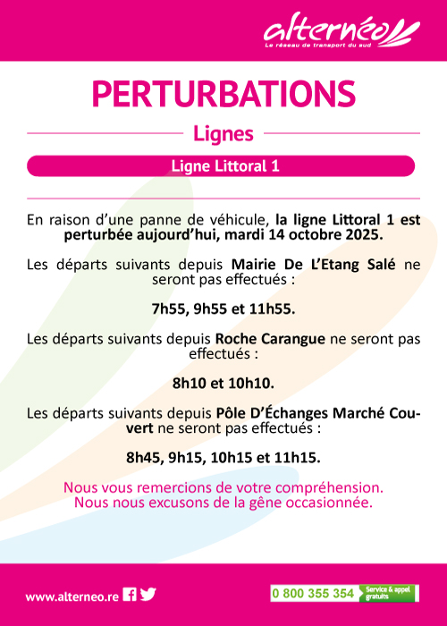 10-14-perturbation-ligne-littoral-1-departs-non-effectues-pm-copie.jpg