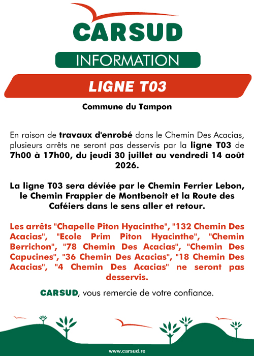 007-20-perturbation-t03-travaux.jpg