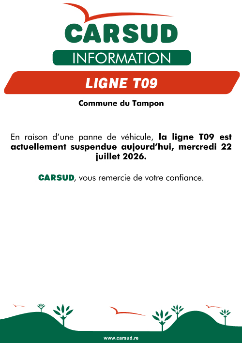 07-22-perturbation-t09-suspendue.jpg